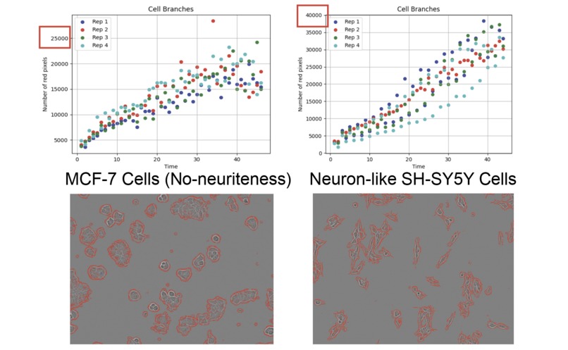 NeuraLIVE – screenshot 3