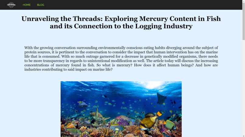 The YesterYear – screenshot 3