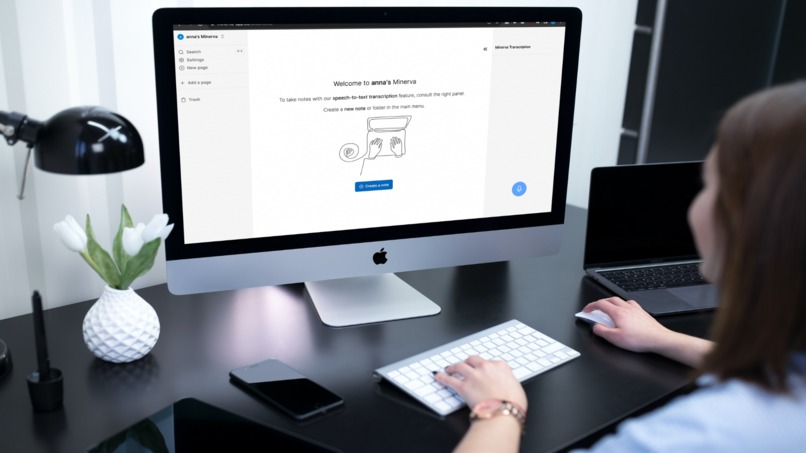 Minerva – screenshot 3