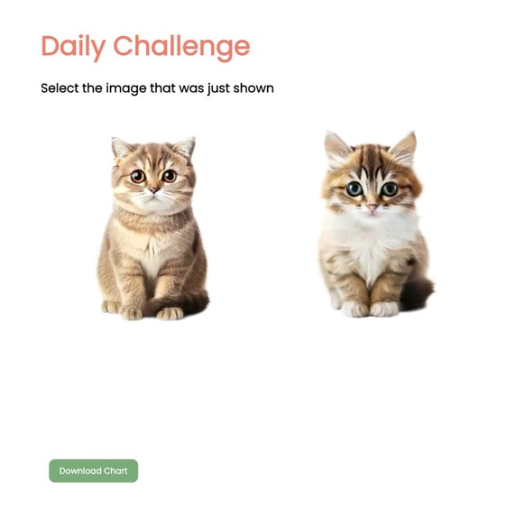 Brain Games: A Puzzle a Day – screenshot 4