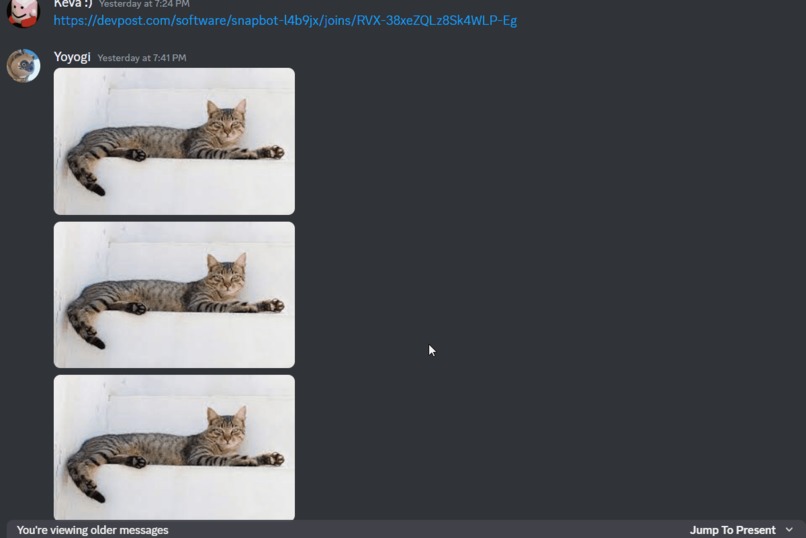 SnapBot – screenshot 5