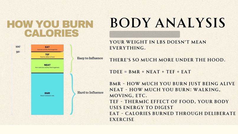 Open Health – screenshot 4