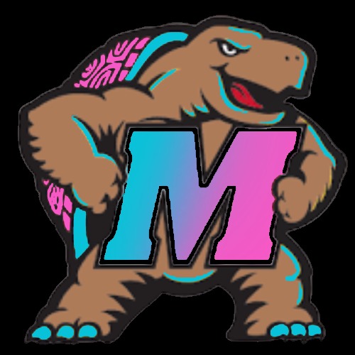 Study Terp – screenshot 3