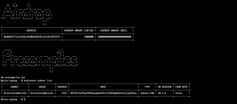 Blocklance – screenshot 1