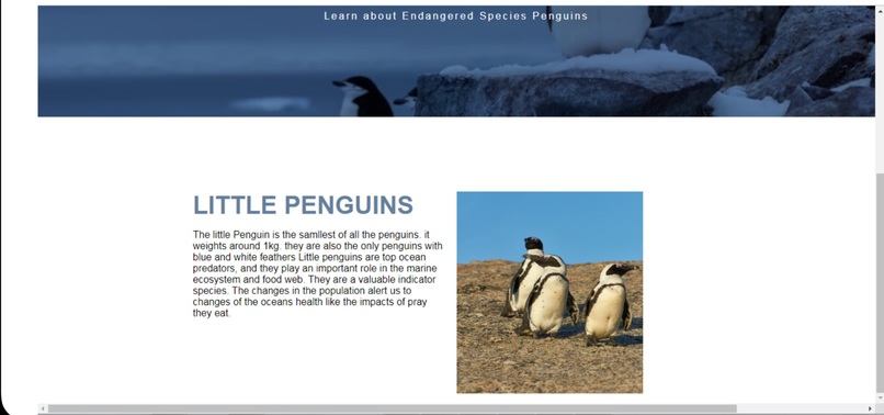 Penguins – screenshot 2