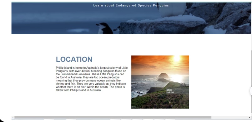 Penguins – screenshot 3
