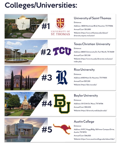 DEItectives – screenshot 2