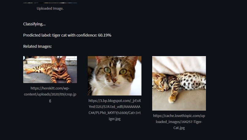 Classification AI: Vision Beyond Boundaries – screenshot 4