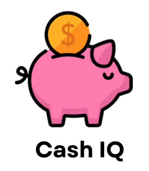 CashIQ – screenshot 1