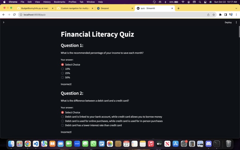 BudgetBunny – screenshot 2