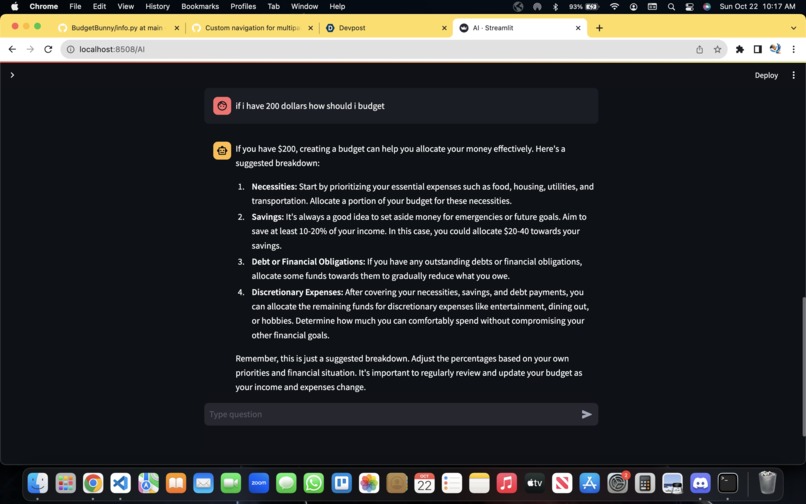 BudgetBunny – screenshot 3