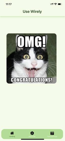 Use Wirely – screenshot 1