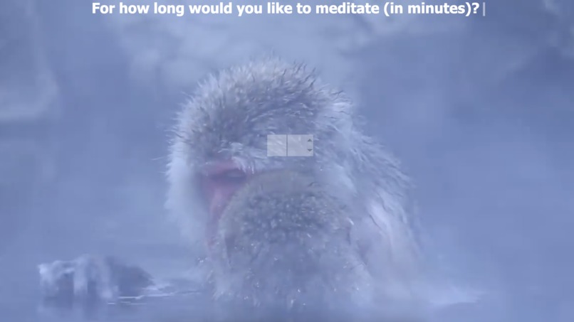 HIFI – screenshot 5