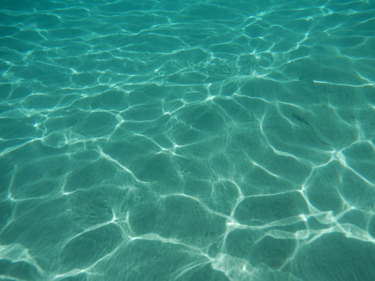 Electric fresh water reader – screenshot 1