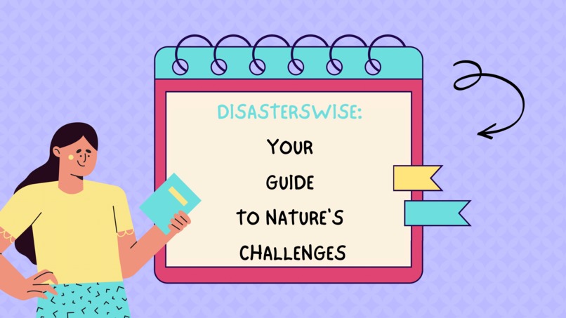 DisasterWise: Your Guide to Nature's Challenges – screenshot 1