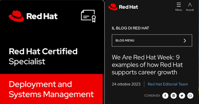 RedHat CP – screenshot 8