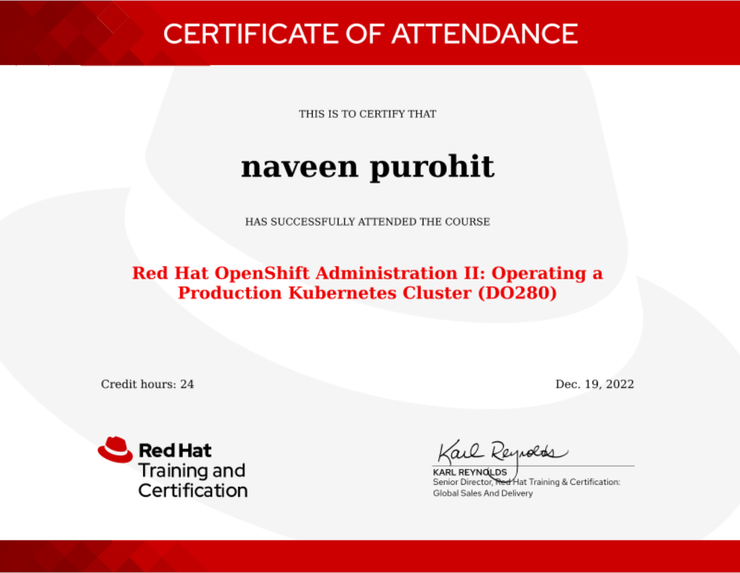 RedHat CP – screenshot 9