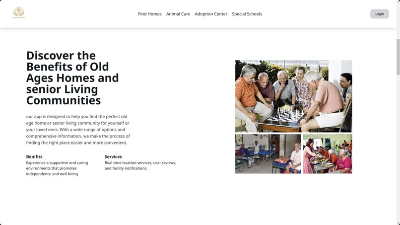 Bright Pathways – screenshot 9