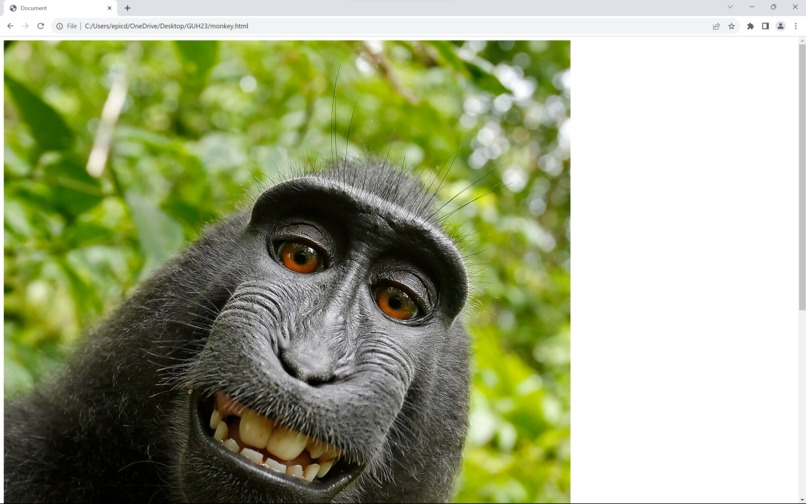 AliEmonzonBaydotcom – screenshot 5