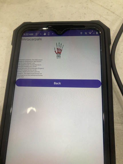 Human Skeleton Education App – screenshot 12