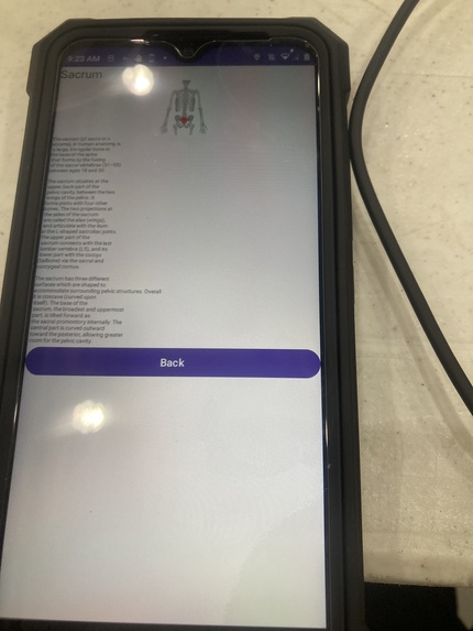 Human Skeleton Education App – screenshot 14