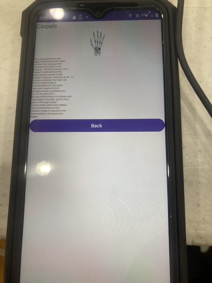 Human Skeleton Education App – screenshot 15