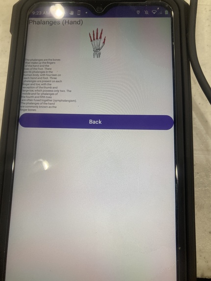 Human Skeleton Education App – screenshot 16
