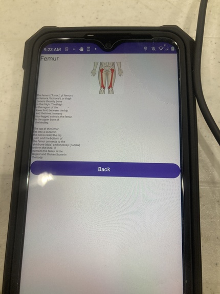 Human Skeleton Education App – screenshot 17