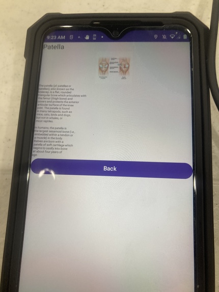 Human Skeleton Education App – screenshot 18