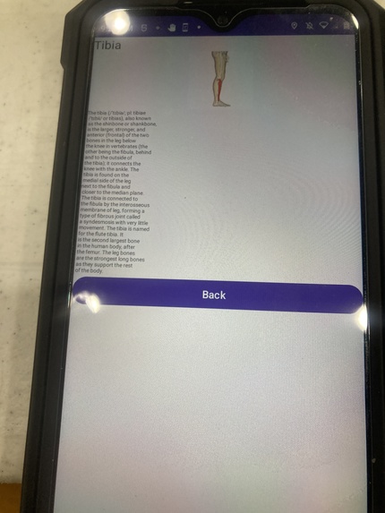 Human Skeleton Education App – screenshot 19