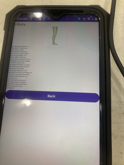 Human Skeleton Education App – screenshot 20