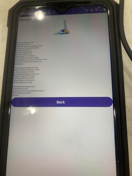 Human Skeleton Education App – screenshot 21