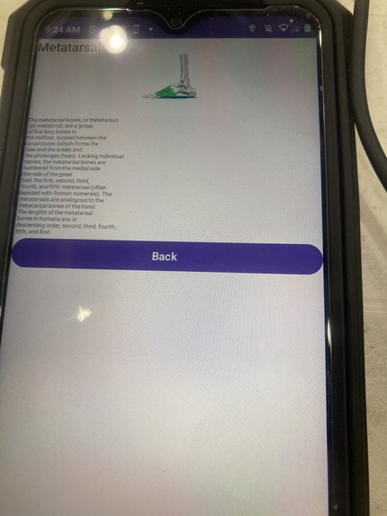 Human Skeleton Education App – screenshot 22