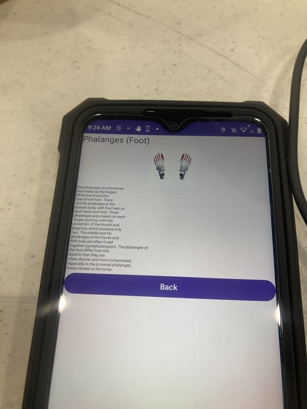 Human Skeleton Education App – screenshot 23