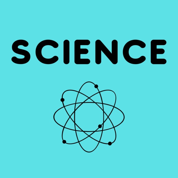 Identifyslow learnerforremedialteachingandcapacitybuilding   – screenshot 8