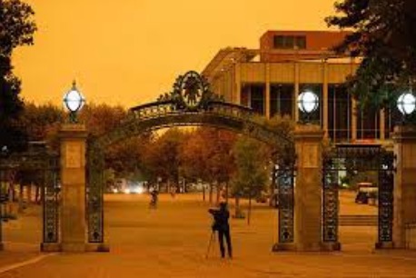 WalkMe – screenshot 5