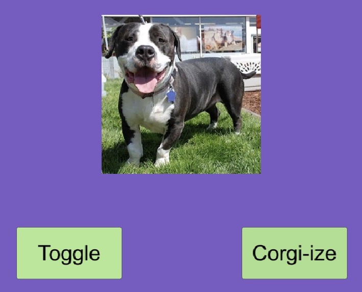 Corgiizer – screenshot 1
