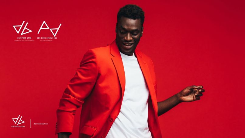 The Diaspora Bank: Multi-Sovereign CBDC Wallet Integration – screenshot 1