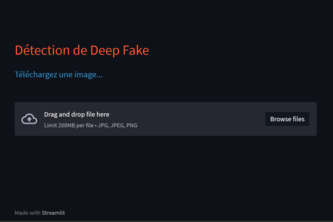 Deepfake detector for fake images about palestine 