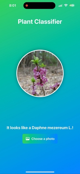 Universal Object Identifier  – screenshot 2