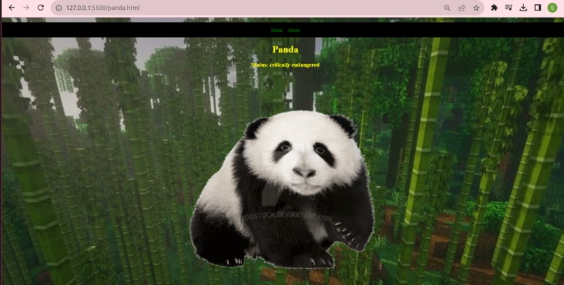Zoo Toonz – screenshot 2