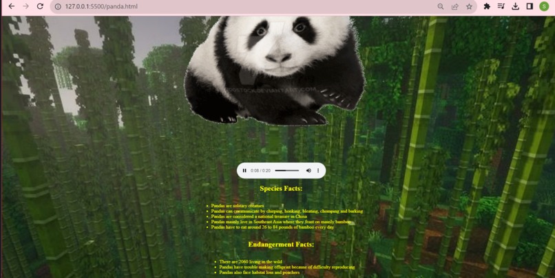 Zoo Toonz – screenshot 3