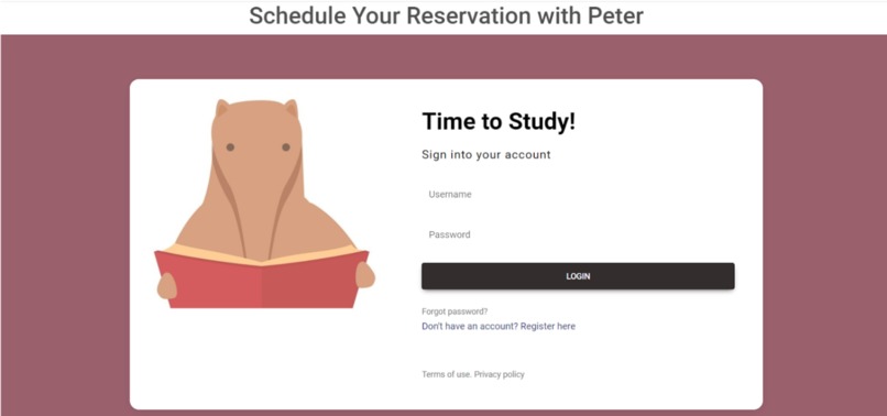 Peter Meeter – screenshot 2