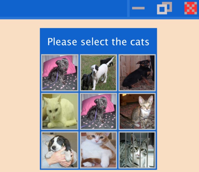 I am not a robot! – screenshot 3