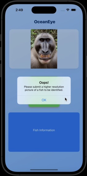 OceanEye – screenshot 3