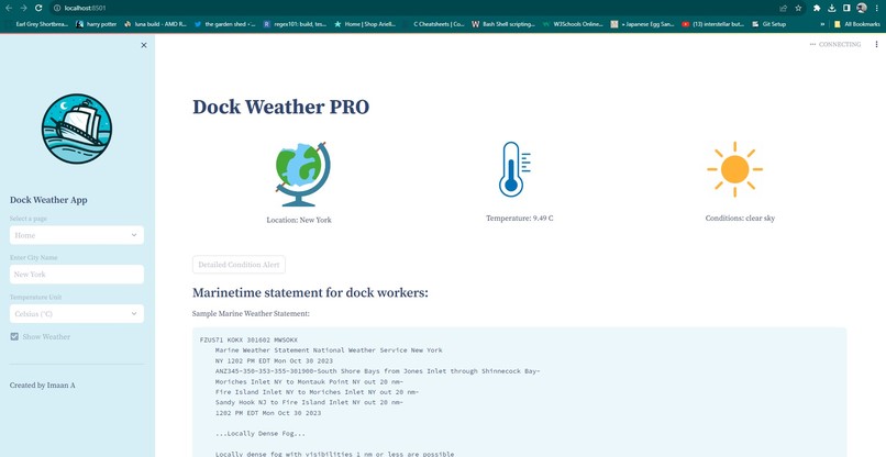 DockWeather PRO – screenshot 1