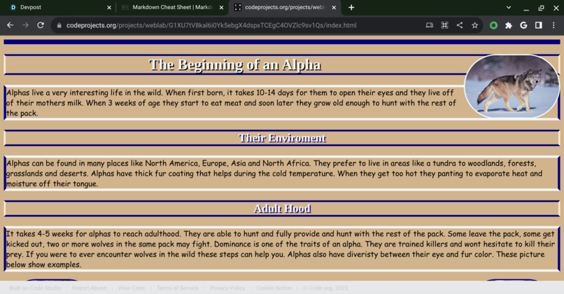 The Beginning Of An Alpha  – screenshot 1