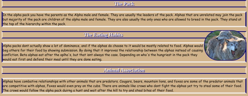 The Beginning Of An Alpha  – screenshot 3