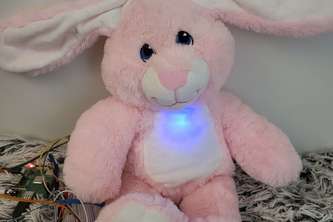 BunnyBotBeacon