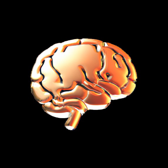 Cerebra – screenshot 1